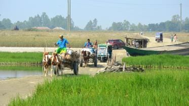 Tangail News-------_12_1.jpg