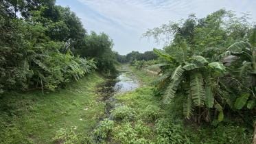 Story on Narode River in Rajshahi_a753.jpg