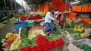 My Dhaka Flower Shahbagh_af0e.jpg