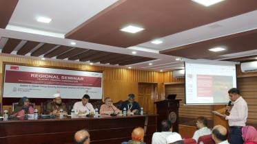 Modern technology and salt-tolerant seeds could transform southern agriculture.jpg