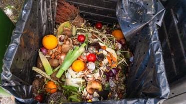 2L for 28 sep 2025.jpg