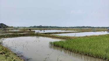 Bagerhat salinity _a3e1.jpg
