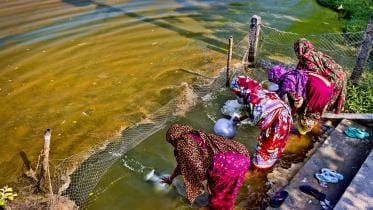 Salt in Their Throats.jpg