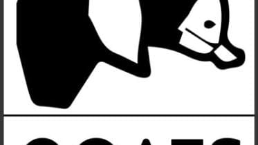 Bangladeshi goats.jpg