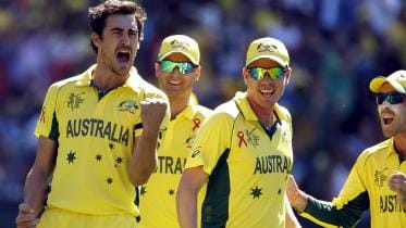 Starc's-early-delight-NS.jpg