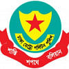 dmp logo