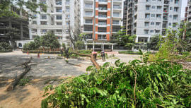 Felling trees, rising temperatures: Dhaka's environmental wake-up call