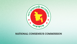 consensus commission upper house seat plan
