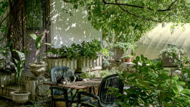 Jazz up your garden this summer with these simple tricks!