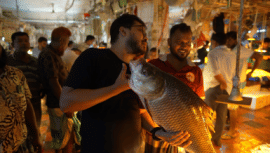 fish buying guide Dhaka