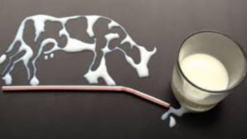 Pasteurised milk adulteration Pasteurised milk adulteration