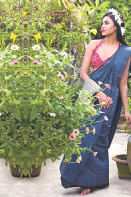 The revival of Indigo The revival of Indigo