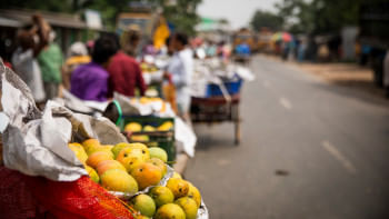 Sights and sounds of Chapai Nawabganj: the mango capital of Bangladesh Sights and sounds of Chapai Nawabganj: the mango capital of Bangladesh
