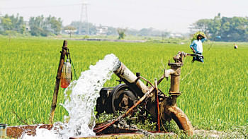 Farmers get a raw deal Farmer woes