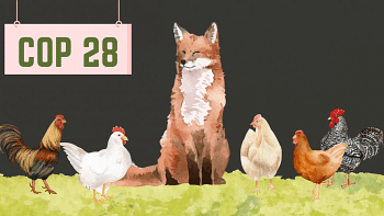 COP28: Asking a fox to guard the hen house Cop28