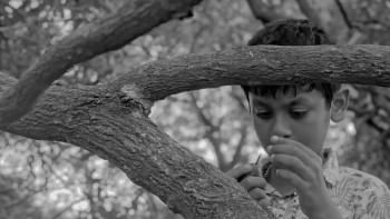 ‘Aam Kathaler Chhuti’ receives censor board clearance ‘Aam Kathaler Chhuti’ receives censor board clearance