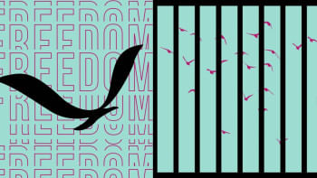 Freedom of the press Freedom of the press