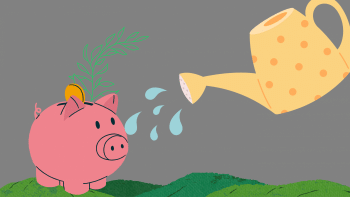 How will our climate budget look post-NAP2050? climate budget