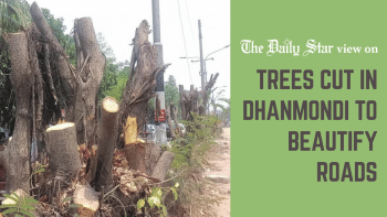 Stop cutting trees in Dhanmondi Destruction of nature to beautify roads in Dhaka