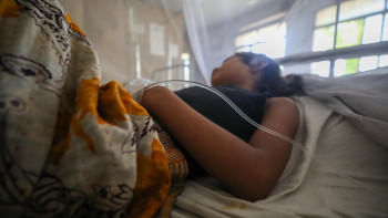Why is dengue still a non-issue in Bangladesh? Why is dengue still a non-issue in Bangladesh?