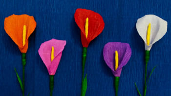 What's Real, really? What's Real, really?