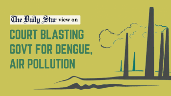Failed response to dengue and air pollution is no coincidence
