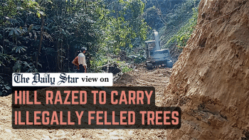Why this constant onslaught on nature?