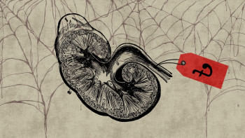 What Milton Samaddar and Tipu Kibria show us about society.