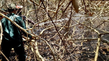 Protecting Sundarbans from future forest fires Protecting Sundarbans from future forest fires