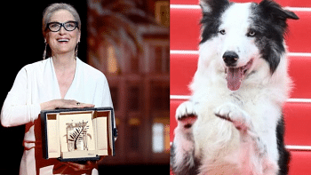 Cannes 2024 commences with ovation for Meryl Streep, Messi the dog on red carpet Cannes 2024 commences with ovation for Meryl Streep, Messi the dog on red carpet