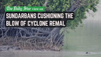 Sundarbans takes care of us, but who will take care of it? importance of sundarbans for Bangladesh