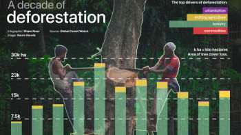 Deforestation in Bangladesh Decade of deforestation