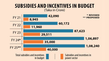 Power gets a third of Tk 108,240cr subsidies Subsidies and incentives in Budget FY25