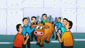 Cow running amok in a shopping mall: It’s not a ‘moo’ point Cow running amok in a shopping mall: It’s not a ‘moo’ point
