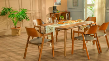 Indoor plant decor tips for every home  Indoor plant decor tips for every home