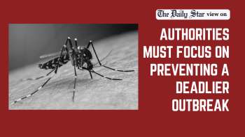 Governance gaps fuelling dengue concerns