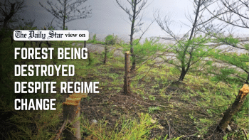 No excuse for environmental degradation anymore