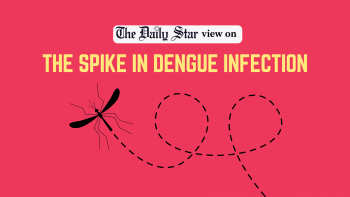Spike in dengue infection Spike in dengue infection