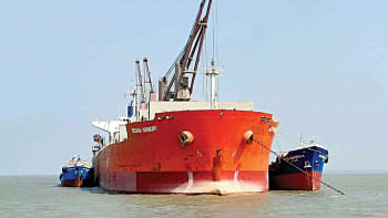 coal import costs increase coal import costs increase