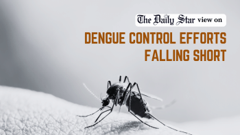 We must improve dengue management