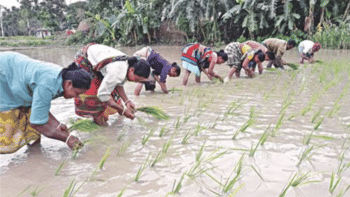 Time to recognise women's contribution in agriculture Time to recognise women's contribution in agriculture