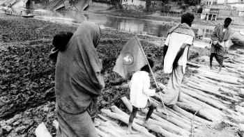 Bangladesh Liberation War,