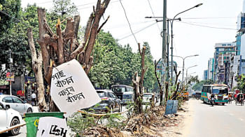 tree plantation policy in Bangladesh tree plantation policy in Bangladesh