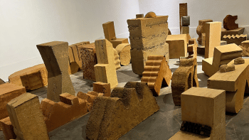 I wish to be here: A praxis of (pro) co-creation I wish to be here: A praxis of (pro) co-creation