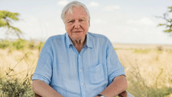Sir David Attenborough, 99, breaks record as oldest Daytime Emmy winner Sir David Attenborough, 99, breaks record as oldest Daytime Emmy winner