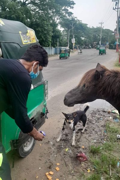 Every life matters at Animal Rescuers Bangladesh Every life matters at Animal Rescuers Bangladesh