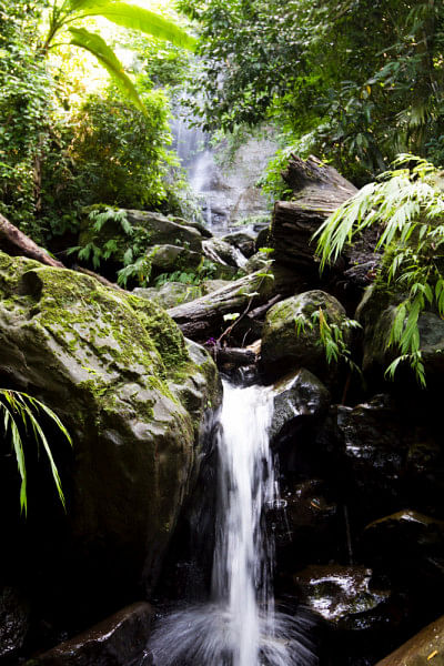 Top 5 Waterfalls in Bangladesh Top 5 Waterfalls in Bangladesh