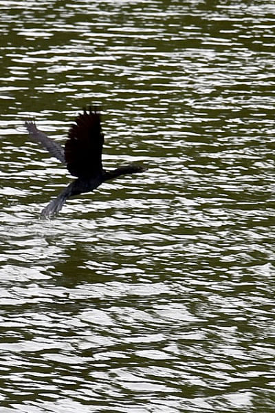 Top 5 lakes to visit in Bangladesh Top 5 lakes to visit in Bangladesh