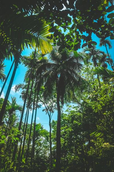 Guide to exploring Barishal on a budget Guide to exploring Barishal on a budget