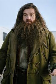 Harry Potter Reboot Harry Potter Reboot